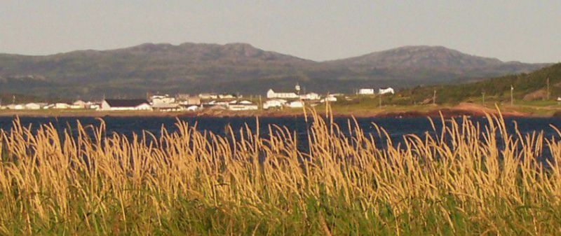 Scenery Garnish View
